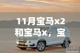 宝马X2与X系列车型选择指南,11月购车攻略全解析
