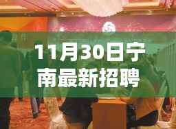 宁南最新招聘盛会解析，探寻人才发展新篇章的机遇与挑战（11月30日）