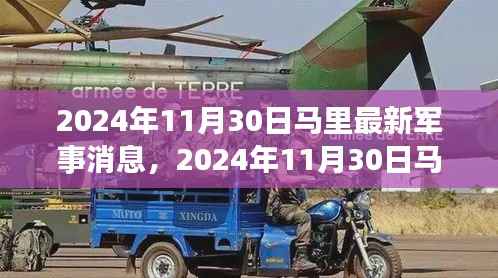 深度解析与案例分析，2024年11月30日马里最新军事消息综述