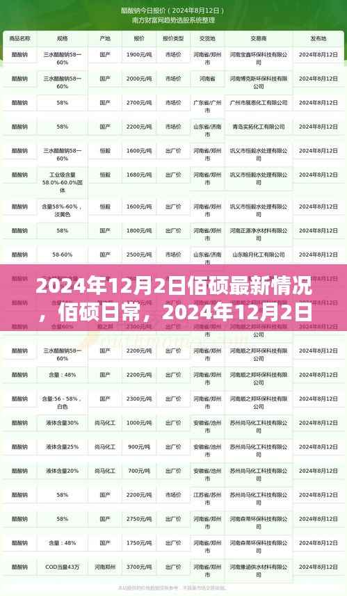 佰硕日常，2024年12月2日的最新动态与温暖时光