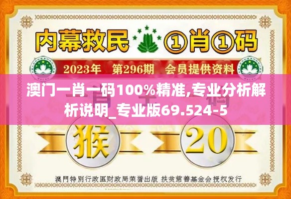 澳门一肖一码100%精准,专业分析解析说明_专业版69.524-5