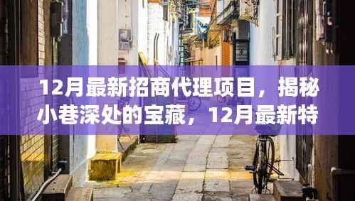 揭秘小巷深处宝藏,12月最新特色招商代理项目探秘