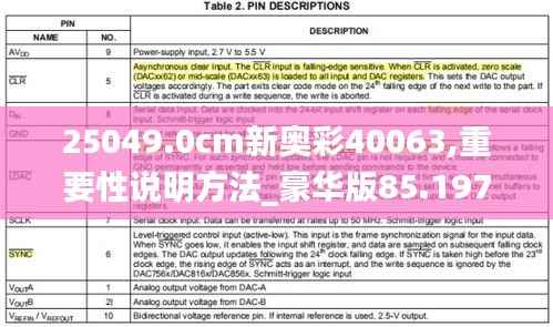 25049.0cm新奥彩40063,重要性说明方法_豪华版85.197