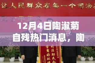 陶淑菊自残事件深度揭秘,背后的故事与热门消息解析