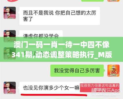 澳门一码一肖一待一中四不像341期,动态调整策略执行_M版4.330