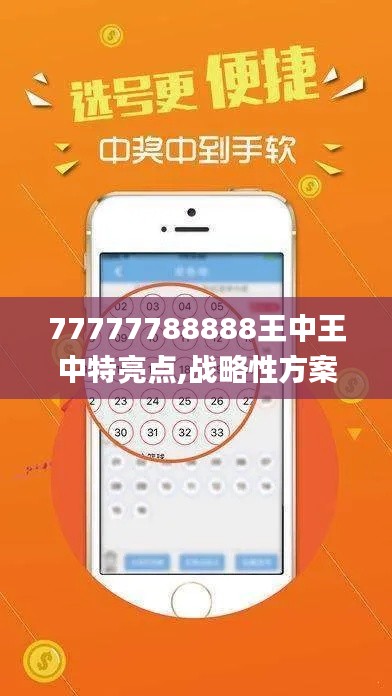 77777788888王中王中特亮点,战略性方案优化_旗舰款2.110