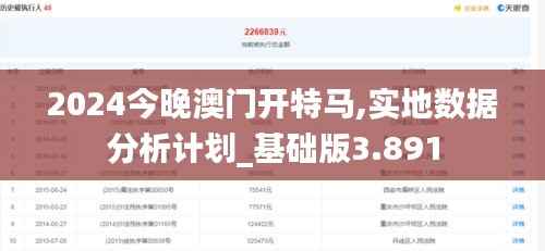 2024今晚澳门开特马,实地数据分析计划_基础版3.891