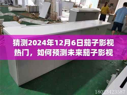 初学者视角,预测未来茄子影视热门,探索预测技巧——以2024年茄子影视展望为例