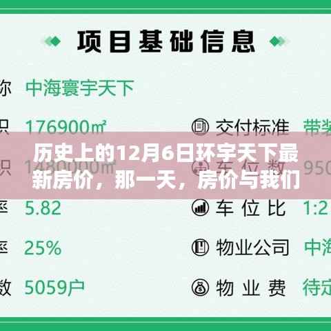 历史上的房价风云，揭秘12月6日环宇天下最新房价背后的故事