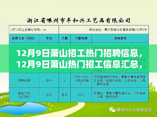 12月9日萧山热门招聘信息汇总,探寻最佳职业机会一览