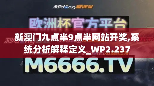 新澳门九点半9点半网站开奖,系统分析解释定义_WP2.237