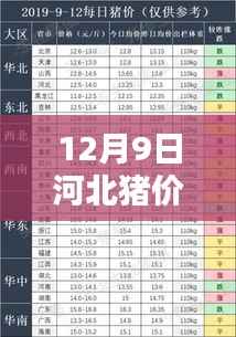 河北猪价格行情深度解析,热门动态与时代影响探讨(12月9日)
