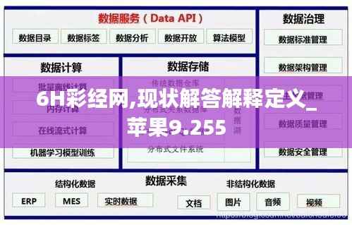6H彩经网,现状解答解释定义_苹果9.255