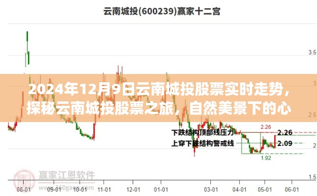 探秘云南城投股票之旅,自然美景下的心灵之旅与股市动态(实时走势分析)