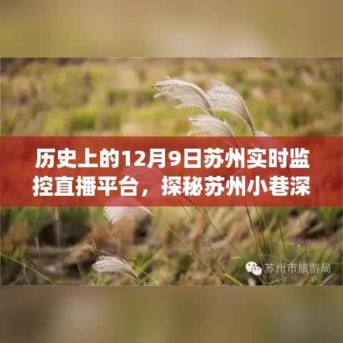探秘苏州小巷深处的直播秘境，遇见时光直播屋——历史上的苏州实时监控直播平台回顾（12月9日）