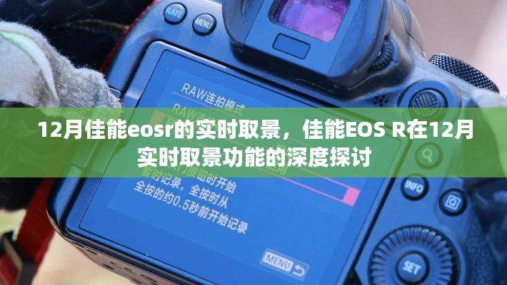 佳能EOS R 12月实时取景功能深度解析
