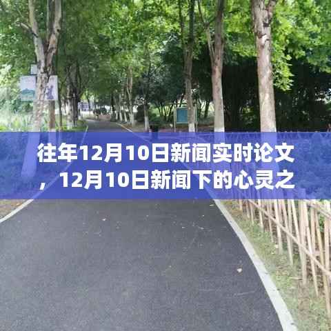 惊弦之鸟 第4页