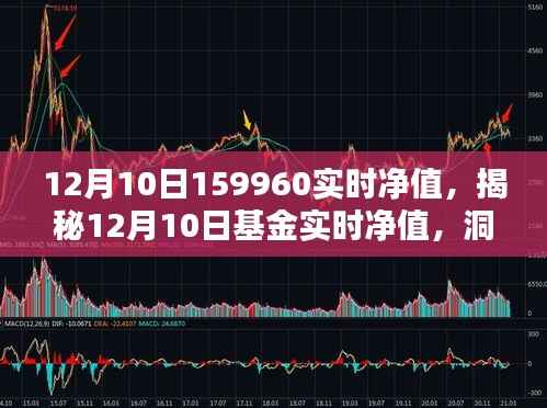 揭秘金融奥秘,12月10日基金实时净值解析与洞察(净值,159960)