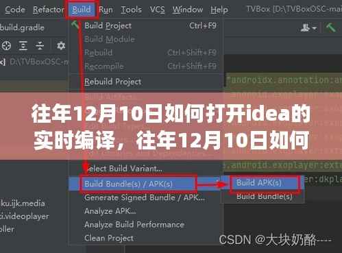 往年12月10日,开启和优化IDEA实时编译功能,提升开发效率的关键
