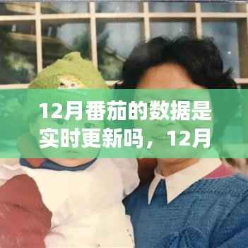 12月番茄数据实时更新,心灵旅行的奇妙之旅