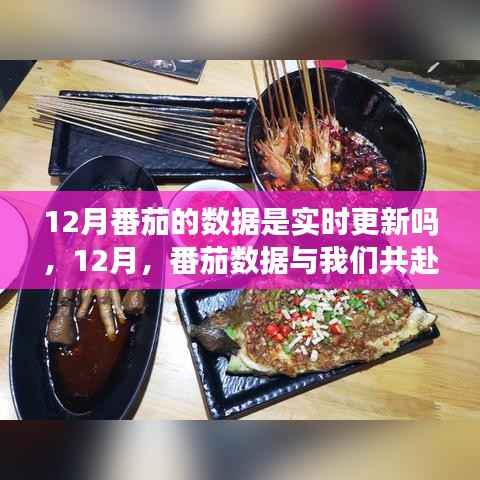 12月番茄数据实时更新,心灵旅行的奇妙之旅