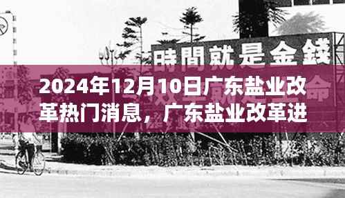 广东盐业改革最新动态深度解析,聚焦深度进展与热门消息(2024年12月10日)