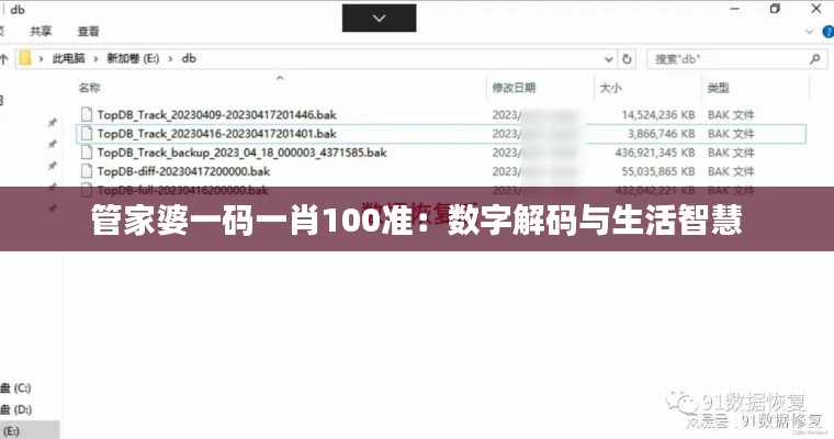 管家婆一码一肖100准:数字解码与生活智慧