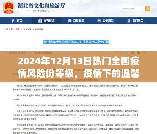 疫情下的温馨日常与友情故事,2024年12月13日全国疫情风险等级详解