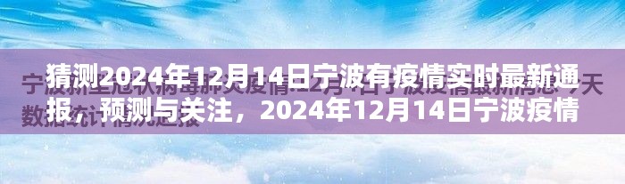 宁波疫情预测与实时关注,2024年12月14日最新通报与预测分析