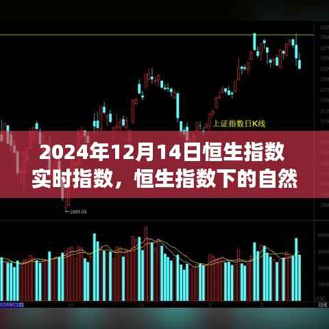 兵贵神速 第4页