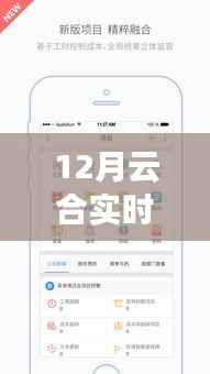 揭秘十二月云合实时数据查询,高效掌握信息的秘诀