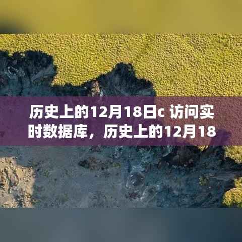 历史上的12月18日,实时数据库访问的演变与观点碰撞纪实
