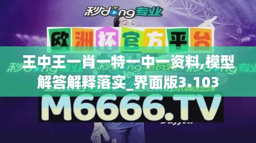王中王一肖一特一中一资料,模型解答解释落实_界面版3.103