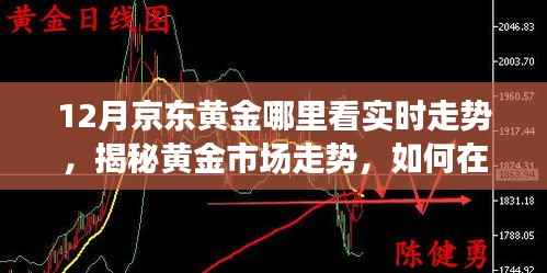 揭秘黄金市场走势,京东黄金实时行情分析与洞悉策略