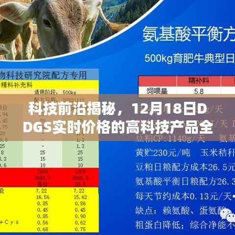 科技前沿揭秘,DDGS实时价格下的高科技产品全新体验日(12月18日)