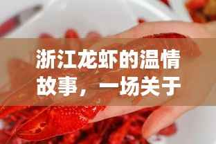 浙江龙虾的友情与陪伴,实时报价的温情之旅