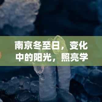 南京冬至日,阳光照亮学习之路