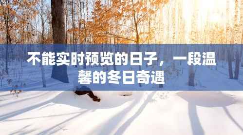 不能实时预览的日子，冬日温馨奇遇