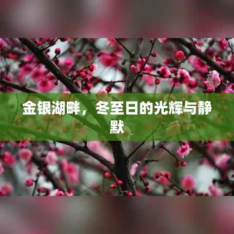 金银湖畔冬至日的辉煌与静谧
