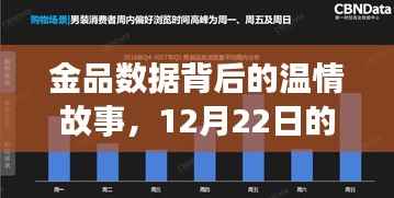 金品数据之旅,温情背后的实时数据探索(12月22日)