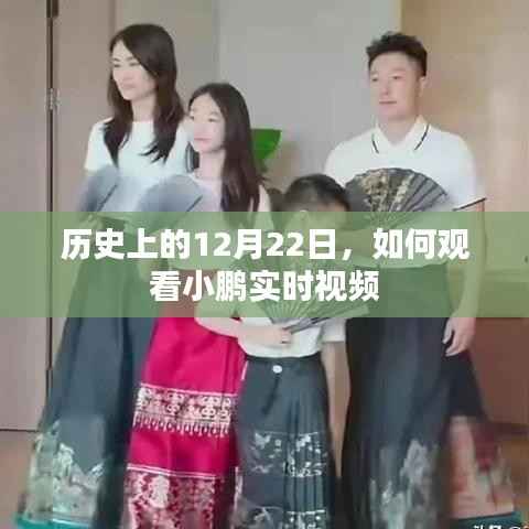 小鹏实时视频直播，回顾历史上的12月22日