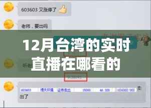 台湾12月实时直播观看指南