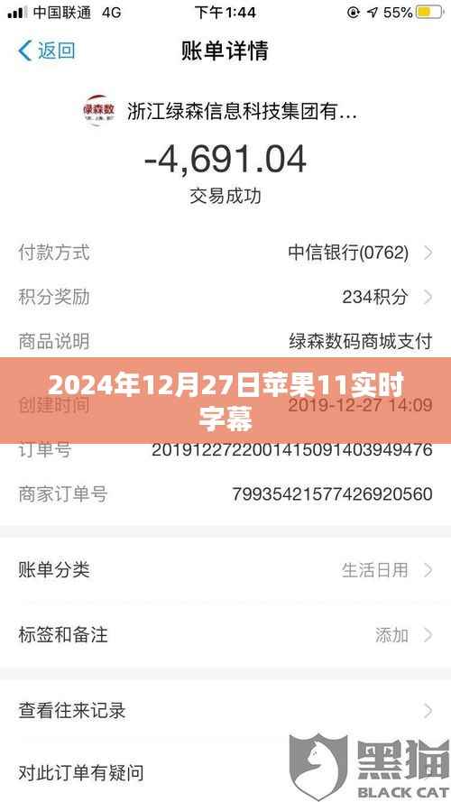 苹果11实时字幕功能介绍及体验 2024年最新动态