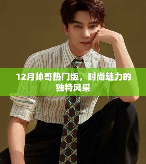 时尚魅力展现,12月帅哥热门风采