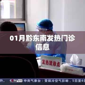 黔东南州一月发热门诊信息概况
