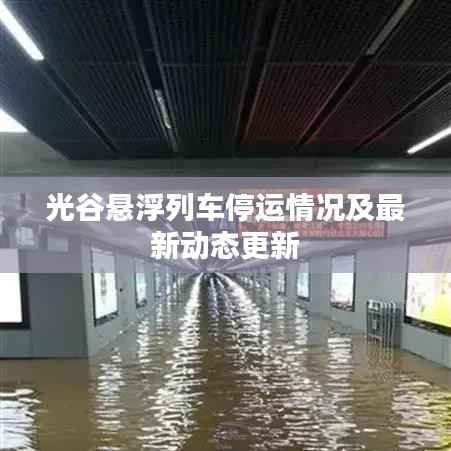 光谷悬浮列车停运情况及最新动态更新
