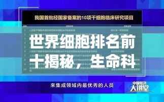 世界细胞排名前十揭秘,生命科学领域的奇迹之旅
