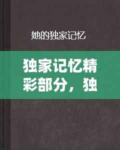独家记忆精彩部分,独家记忆热评