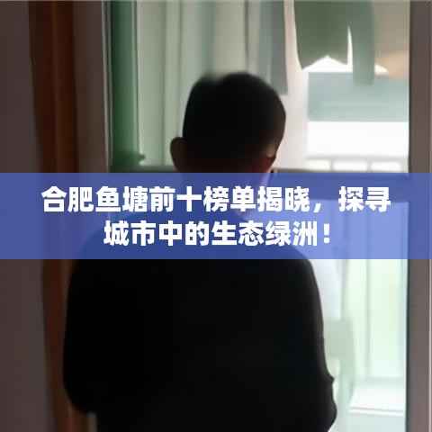合肥鱼塘前十榜单揭晓，探寻城市中的生态绿洲！