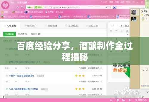 百度经验分享,酒酿制作全过程揭秘